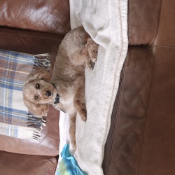 Jake
